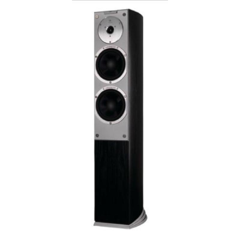 Audiovector Si 3 Signature - weboptimizers testing
